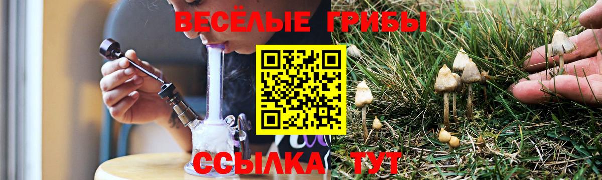 Псилоцибиновые грибы ЛСД  Вход с VPN  Псилоцибиновые грибы ЛСД  Кудымкар 